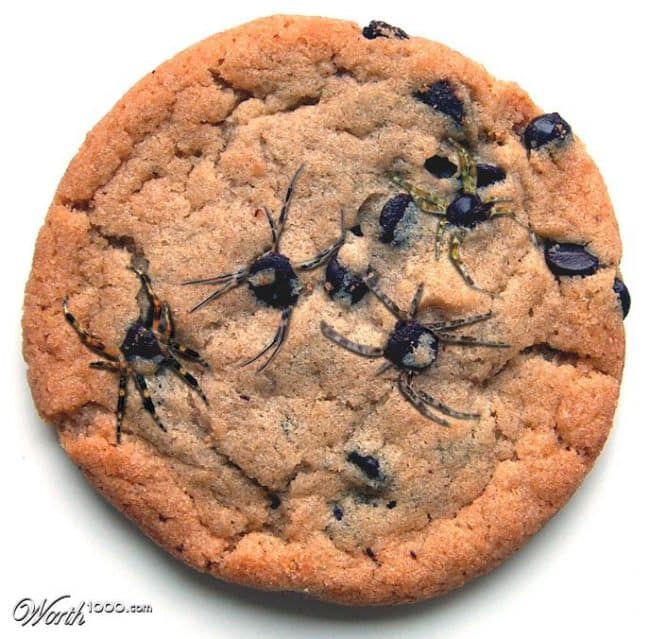在Iambaker.net看到如何用巧克力制作这个饼干！