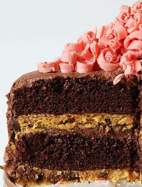 巧克力拉布巧克力饼干图层和迷你粉红色巧克力卷毛！
