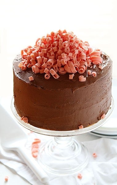 巧克力拉布巧克力饼干图层和迷你粉红色巧克力卷毛！