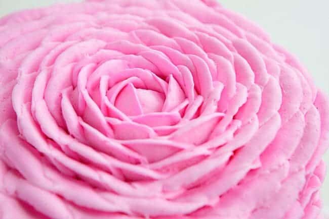 这款漂亮的粉红色奶油玫瑰其实很简单!